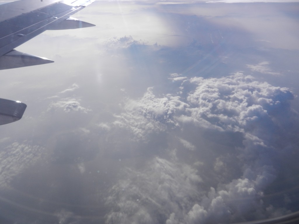 DSCN4157