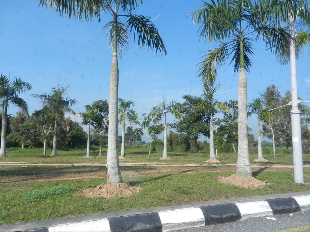 DSCN4190