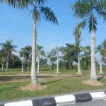 DSCN4190