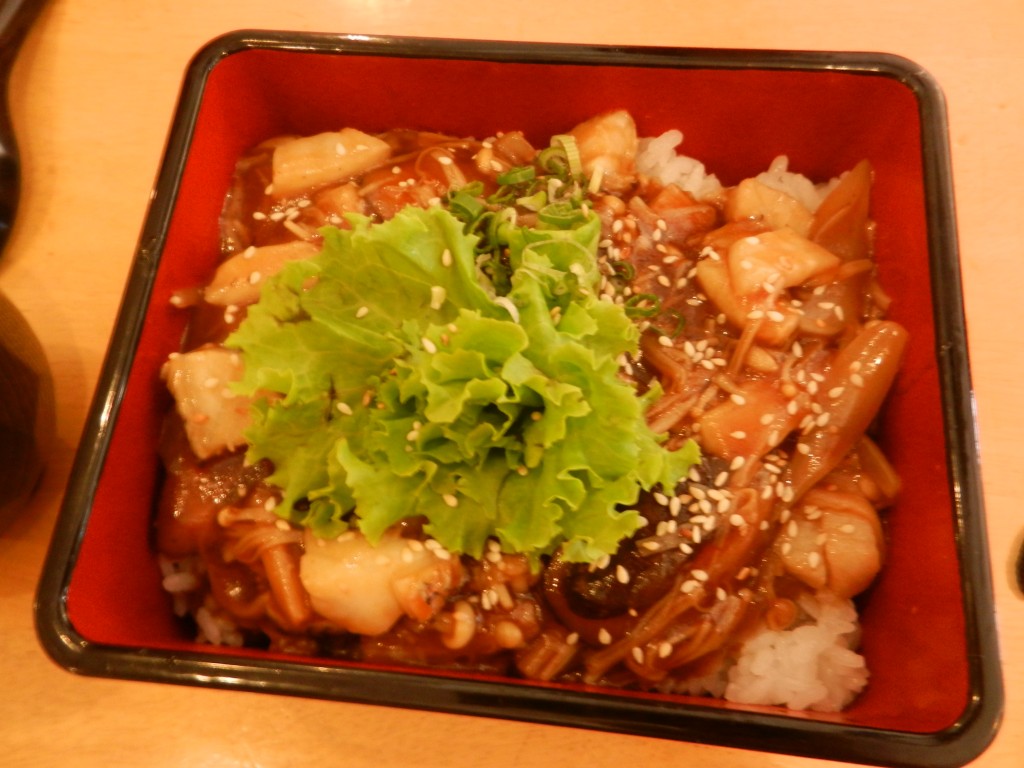 DSCN4230
