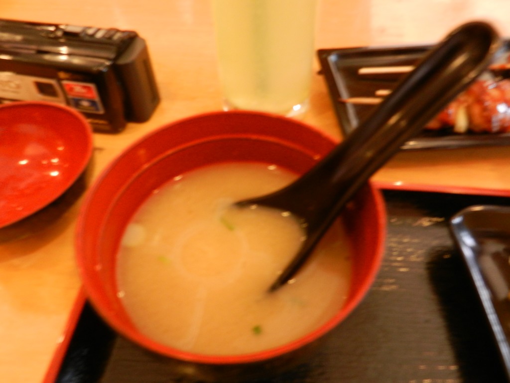 DSCN4241