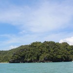 IMG_0841