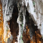 IMG_2597
