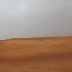 IMG_4093