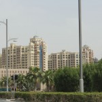 IMG_4562