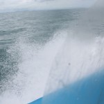 IMG_9498